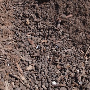 Ausgangsmaterial Holz Boden Kompost Gemisch