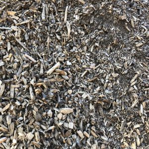 Ausgangsmaterial IMG_5391